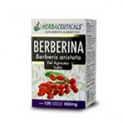 BERBERINA