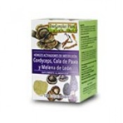 CORDYCEPS, COLA DE PAVO Y MELENA DE LEÓN