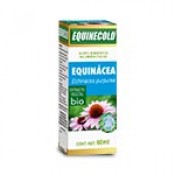 EQUINÁCEA (Echinacea purpurea)